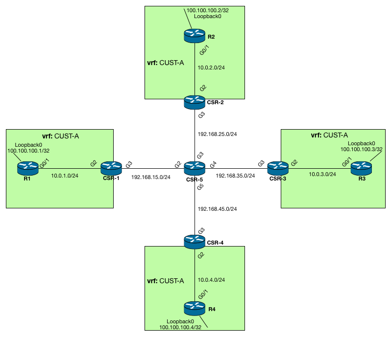 Topology for MPLS VPN's over mGRE